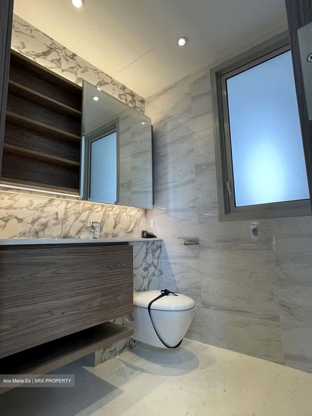 Queens Peak (D3), Condominium #602475921